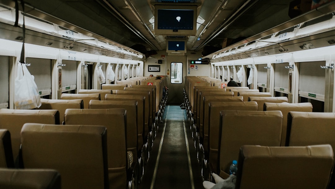 車內(nèi)飾發(fā)霉了怎么處理？根源在皮革和海綿的深層菌絲