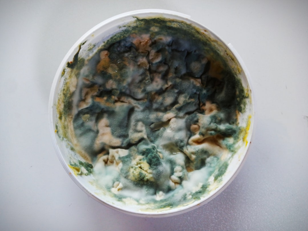 食品級防霉劑用在菜板為什么還發(fā)霉？根源在縫隙和濕度